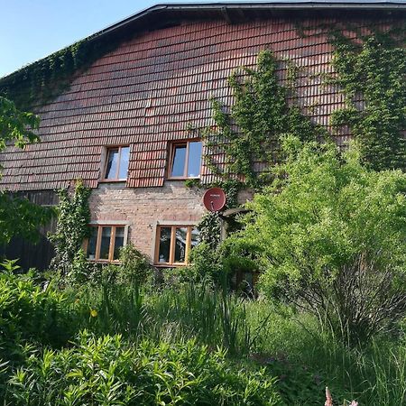 Ferien In Der Scheune Dettmannsdorf Экстерьер фото